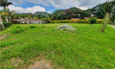 SE VENDE FINCA PRODUCTIVA VEREDA ENTRE FILANDIA - QUIMBAYA