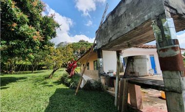 SE VENDE FINCA PRODUCTIVA VEREDA ENTRE FILANDIA - QUIMBAYA