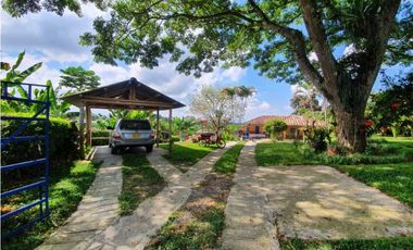 SE VENDE FINCA PRODUCTIVA VEREDA ENTRE FILANDIA - QUIMBAYA