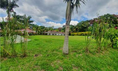 SE VENDE FINCA PRODUCTIVA VEREDA ENTRE FILANDIA - QUIMBAYA