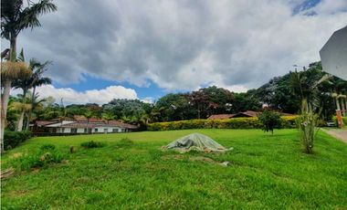 SE VENDE FINCA PRODUCTIVA VEREDA ENTRE FILANDIA - QUIMBAYA