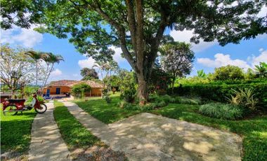 SE VENDE FINCA PRODUCTIVA VEREDA ENTRE FILANDIA - QUIMBAYA