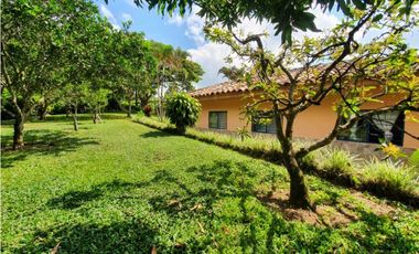 SE VENDE FINCA PRODUCTIVA VEREDA ENTRE FILANDIA - QUIMBAYA