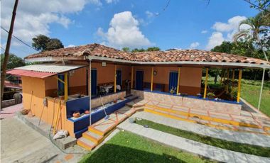 SE VENDE FINCA PRODUCTIVA VEREDA ENTRE FILANDIA - QUIMBAYA