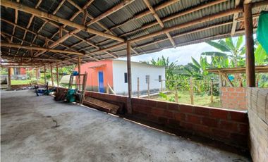 SE VENDE FINCA PRODUCTIVA VEREDA ENTRE FILANDIA - QUIMBAYA