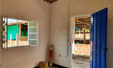 SE VENDE FINCA PRODUCTIVA VEREDA ENTRE FILANDIA - QUIMBAYA