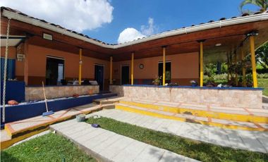 SE VENDE FINCA PRODUCTIVA VEREDA ENTRE FILANDIA - QUIMBAYA