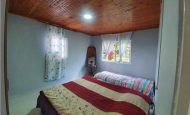 SE VENDE FINCA PRODUCTIVA VEREDA ENTRE FILANDIA - QUIMBAYA