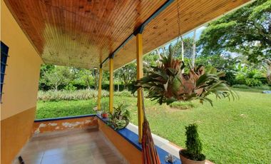 SE VENDE FINCA PRODUCTIVA VEREDA ENTRE FILANDIA - QUIMBAYA