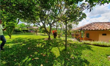 SE VENDE FINCA PRODUCTIVA VEREDA ENTRE FILANDIA - QUIMBAYA