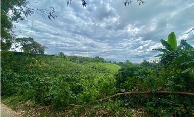 SE VENDE LOTE URBANO VA TEBAIDA