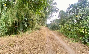 SE VENDE LOTE URBANO VA TEBAIDA