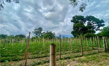 SE VENDE LOTE URBANO VA TEBAIDA