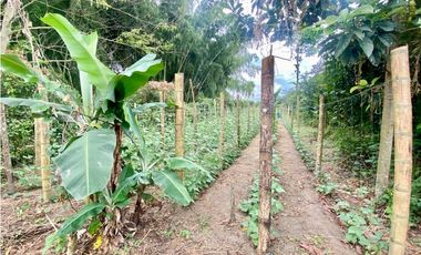 SE VENDE LOTE URBANO VA TEBAIDA