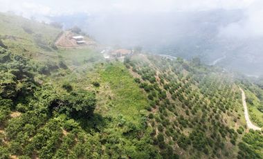 VENTA de FINCAS en OLAYA