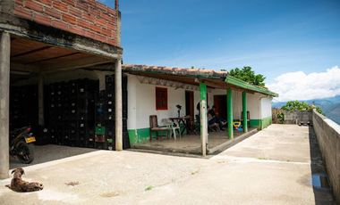 VENTA de FINCAS en OLAYA