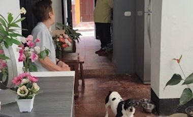 VENTA de CASAS en EBEJICO