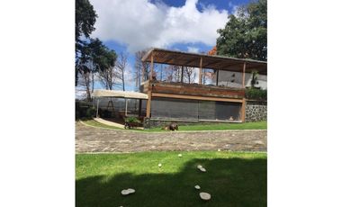 Hípico del Bosque Cuernavaca