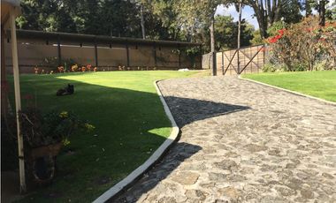 Hípico del Bosque Cuernavaca