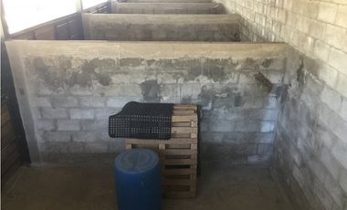Hípico del Bosque Cuernavaca