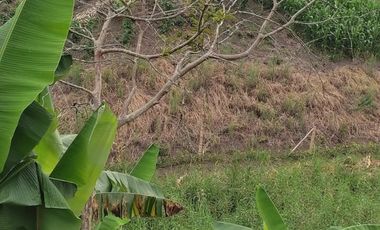 Lote Venta Vereda Campo Alegre Alcalá