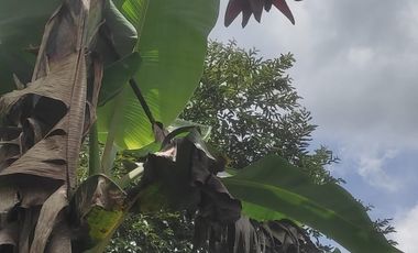 Lote Venta Vereda Campo Alegre Alcalá