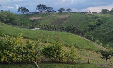 Lote en venta en Alcalá