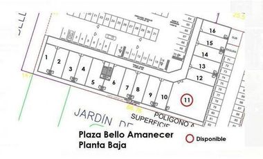 LOCAL COMERCIAL EN GUADALUPE PLAZA BELLO AMANECER