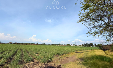 TERRENO EN VENTA A PIE DE CARRETERA EN ZONA INDUSTRIAL, JALISCO