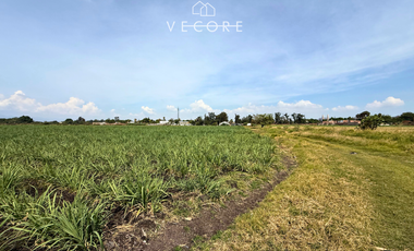 TERRENO EN VENTA A PIE DE CARRETERA EN ZONA INDUSTRIAL, JALISCO