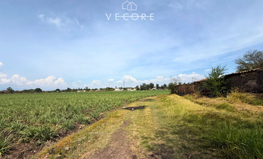 TERRENO EN VENTA A PIE DE CARRETERA EN ZONA INDUSTRIAL, JALISCO