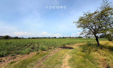 TERRENO EN VENTA A PIE DE CARRETERA EN ZONA INDUSTRIAL, JALISCO