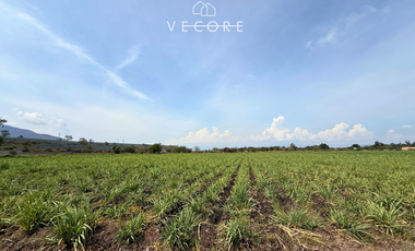 TERRENO EN VENTA A PIE DE CARRETERA EN ZONA INDUSTRIAL, JALISCO