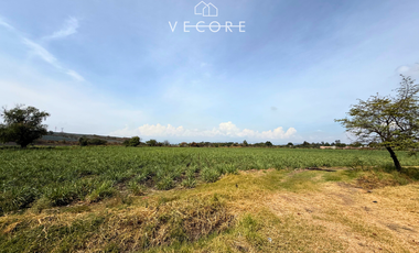 TERRENO EN VENTA A PIE DE CARRETERA EN ZONA INDUSTRIAL, JALISCO
