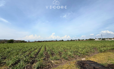 TERRENO EN VENTA A PIE DE CARRETERA EN ZONA INDUSTRIAL, JALISCO