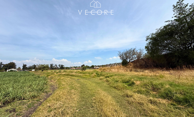 TERRENO EN VENTA A PIE DE CARRETERA EN ZONA INDUSTRIAL, JALISCO