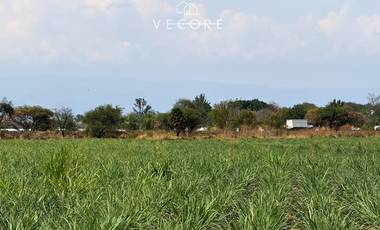 TERRENO EN VENTA A PIE DE CARRETERA EN ZONA INDUSTRIAL, JALISCO