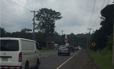 TERRENO DE 1.2 HECTAREAS A ORILLA DE CALLE
