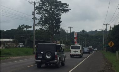 TERRENO DE 1.2 HECTAREAS A ORILLA DE CALLE