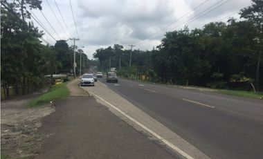 TERRENO DE 1.2 HECTAREAS A ORILLA DE CALLE