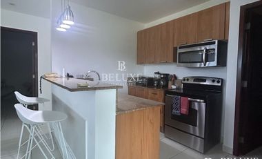 ALQUILER APARTAMENTO EN CORONADO GOLF (14)