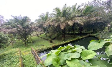Vendo Linda finca en Cuesta de Piedra Volcan Chiriqui
