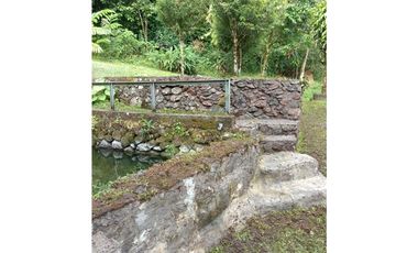 Vendo Linda finca en Cuesta de Piedra Volcan Chiriqui