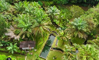 Vendo Linda finca en Cuesta de Piedra Volcan Chiriqui