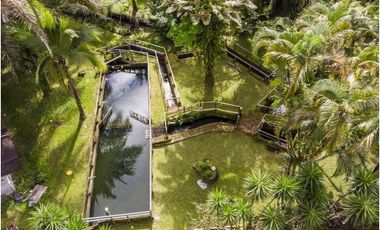 Vendo Linda finca en Cuesta de Piedra Volcan Chiriqui
