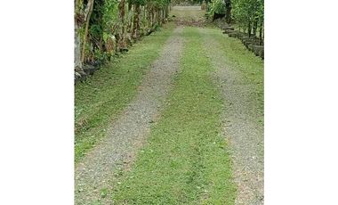 Vendo Linda finca en Cuesta de Piedra Volcan Chiriqui