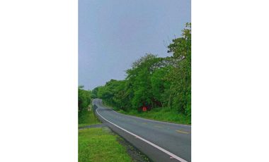 Vendo Linda finca en Cuesta de Piedra Volcan Chiriqui