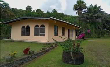 Vendo Linda finca en Cuesta de Piedra Volcan Chiriqui