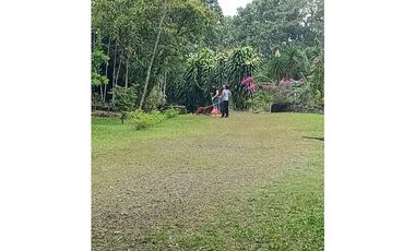 Vendo Linda finca en Cuesta de Piedra Volcan Chiriqui