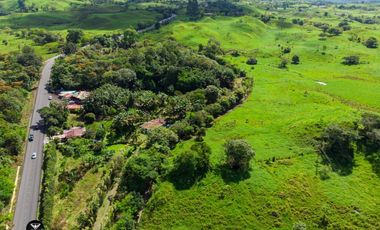 Vendo Linda finca en Cuesta de Piedra Volcan Chiriqui